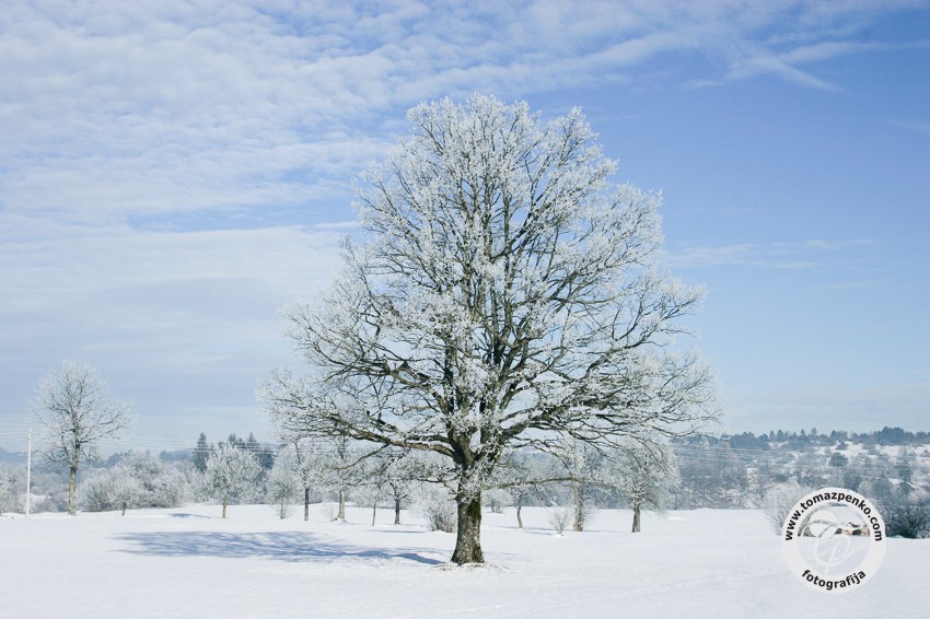 Decemberski izlet presenečenja